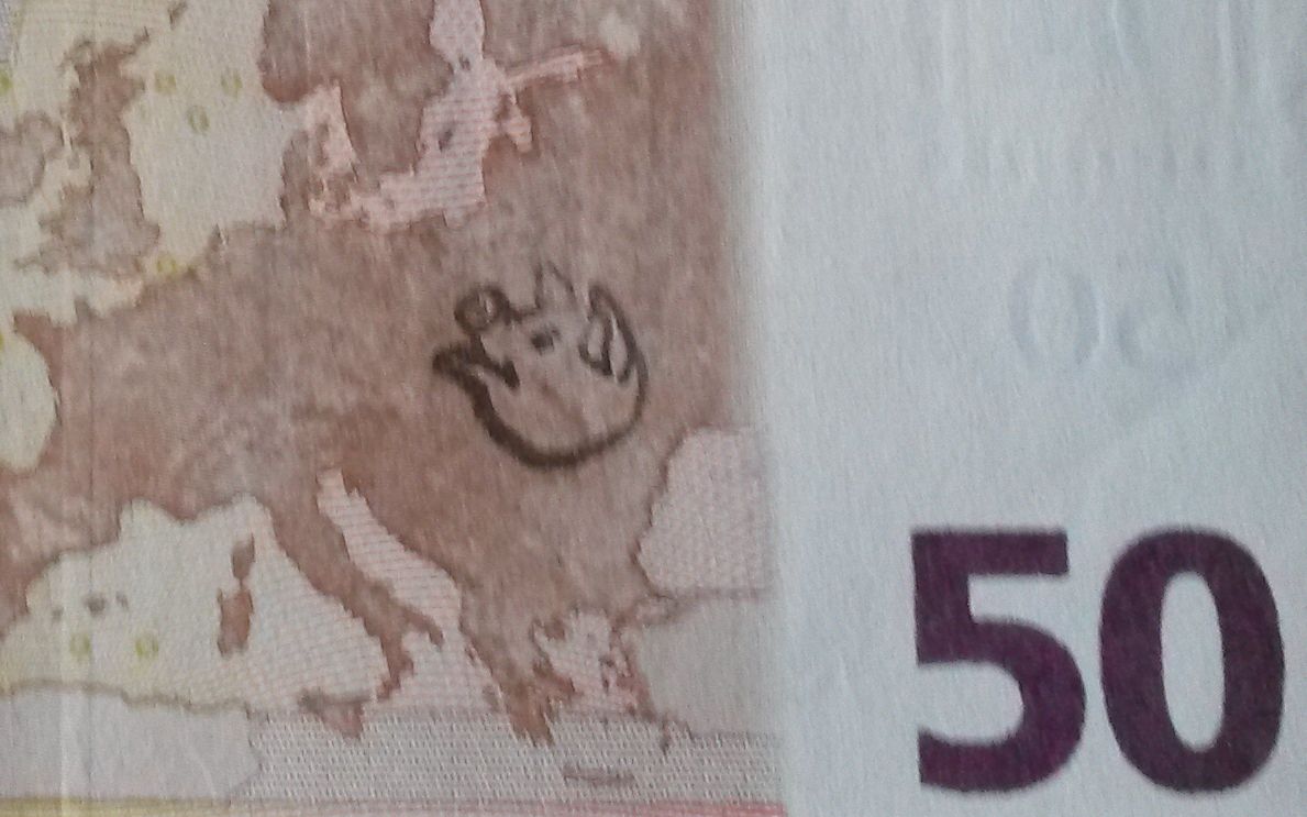 pig head at a 50 Euro note