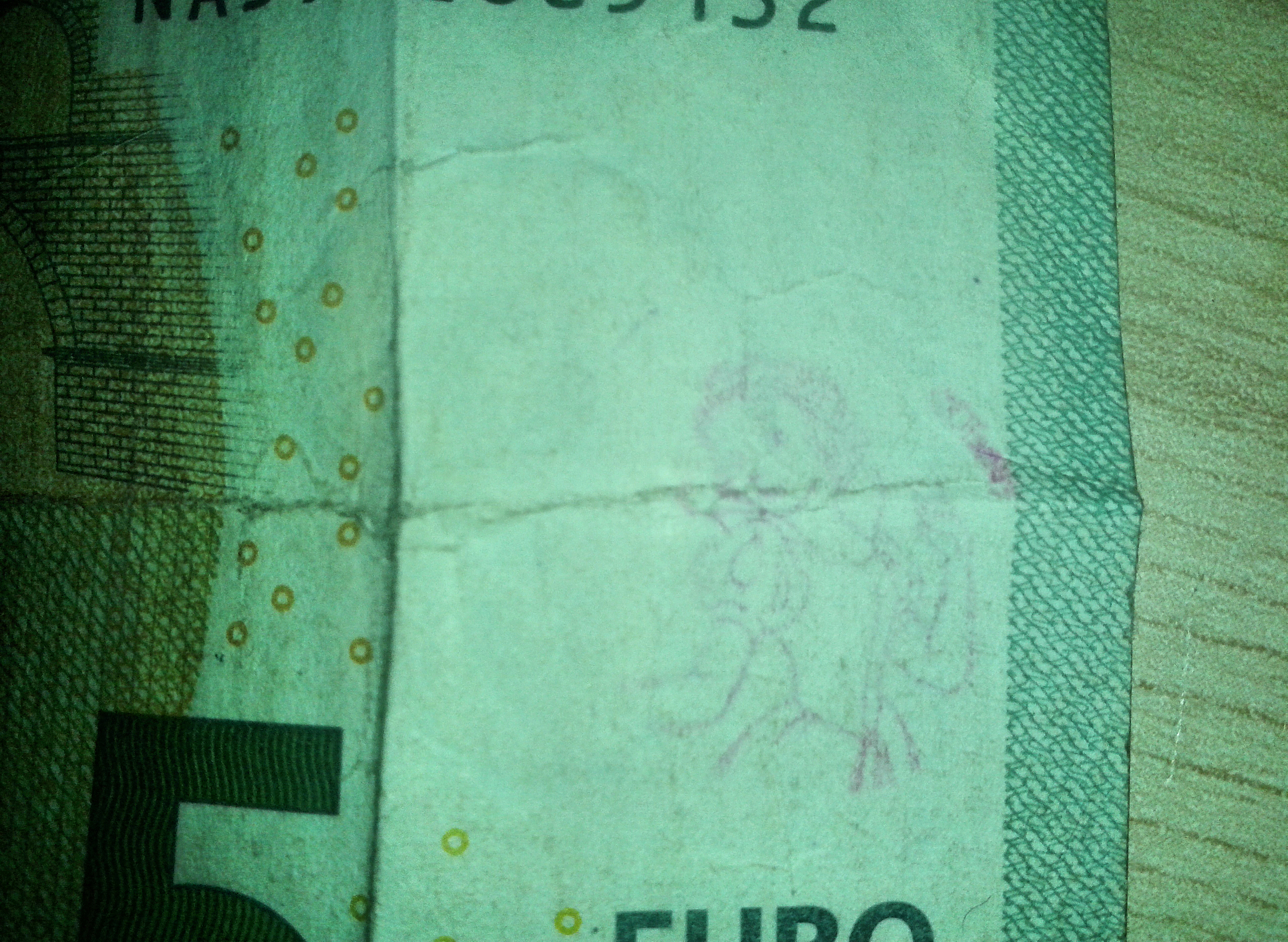 Disegno Biancaneve retro 5 euro (dettaglio).jpg