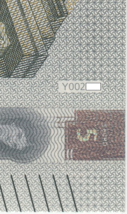 5-Y002.jpg