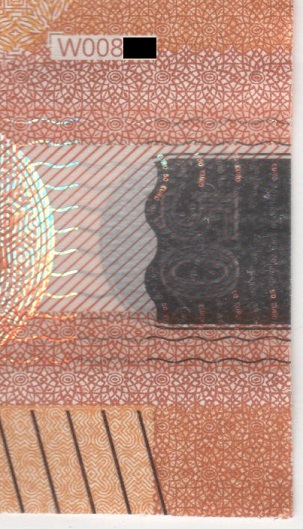 50W008.jpg