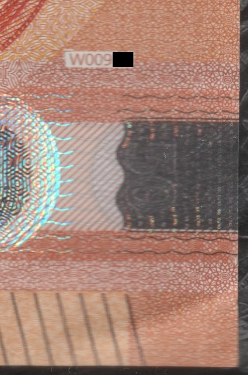 50w009a.jpg