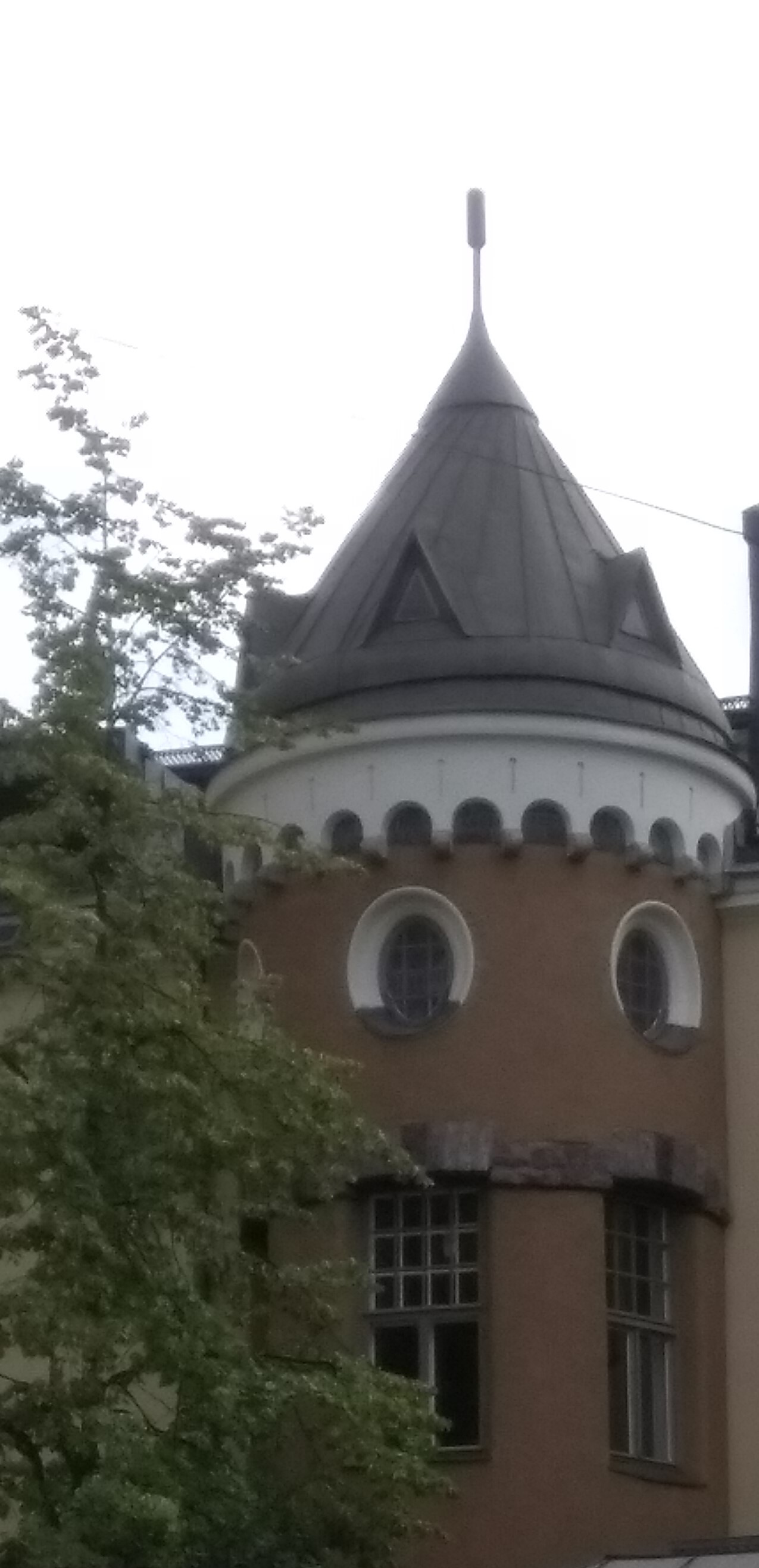 IMG1.jpg