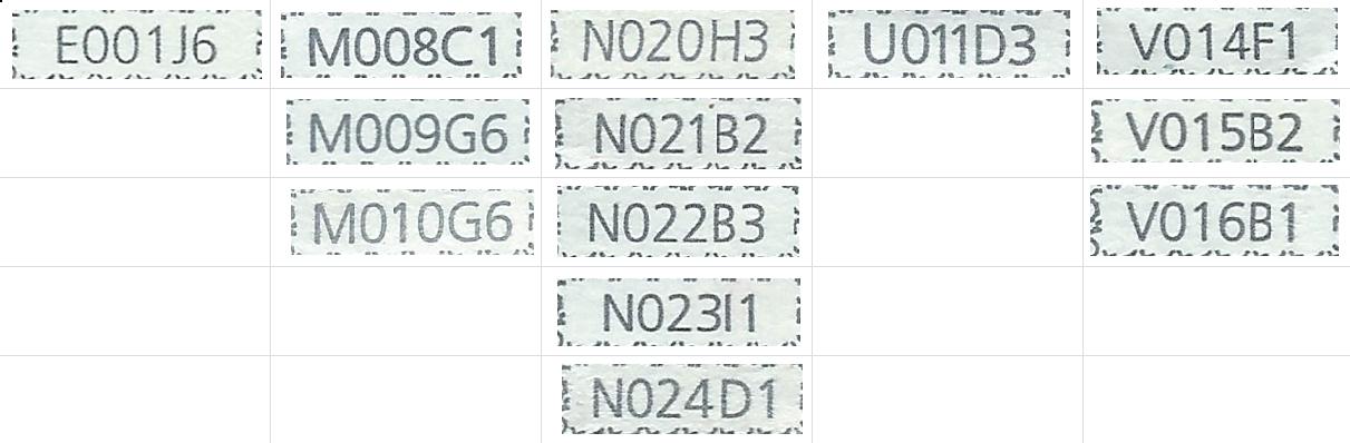 5_BINGO_2022 12 13.jpg