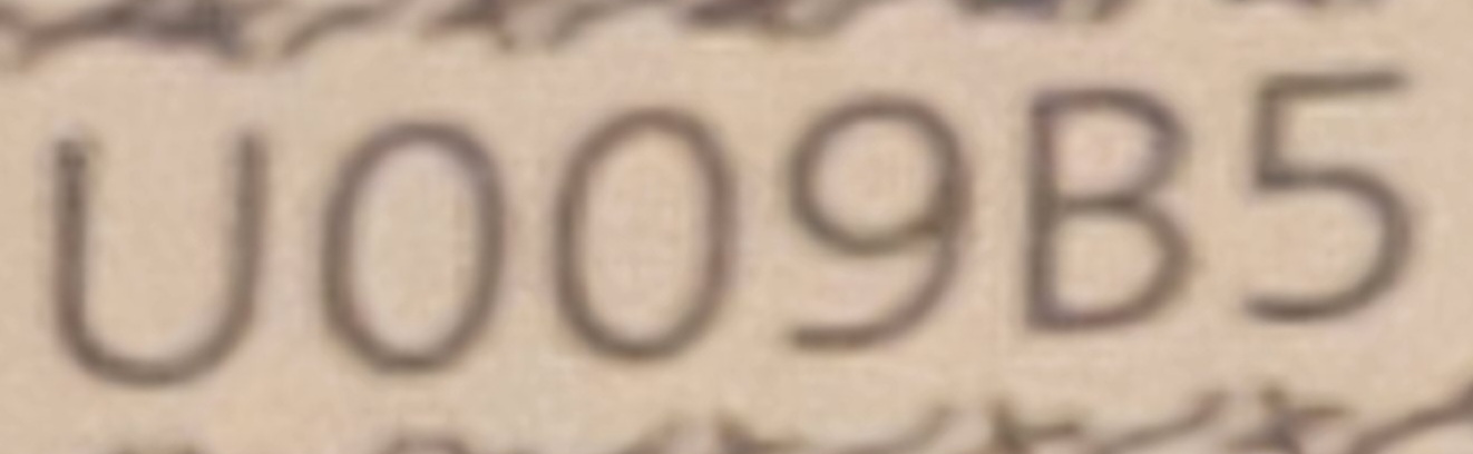 20240402_195024.jpg