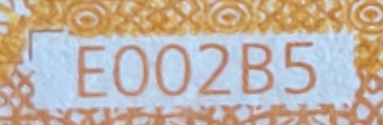 20240908_143014.jpg