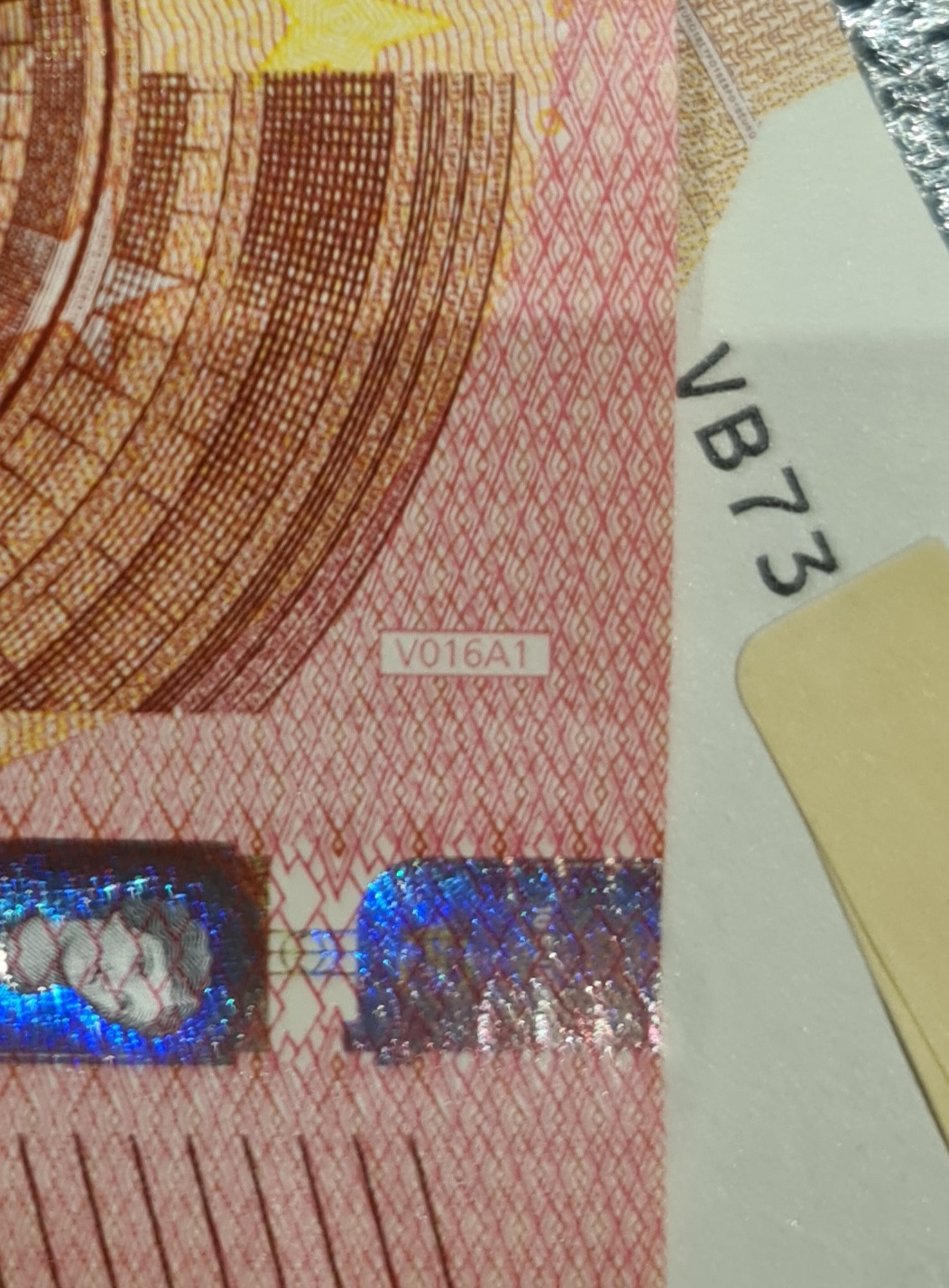 20241118_175914.jpg