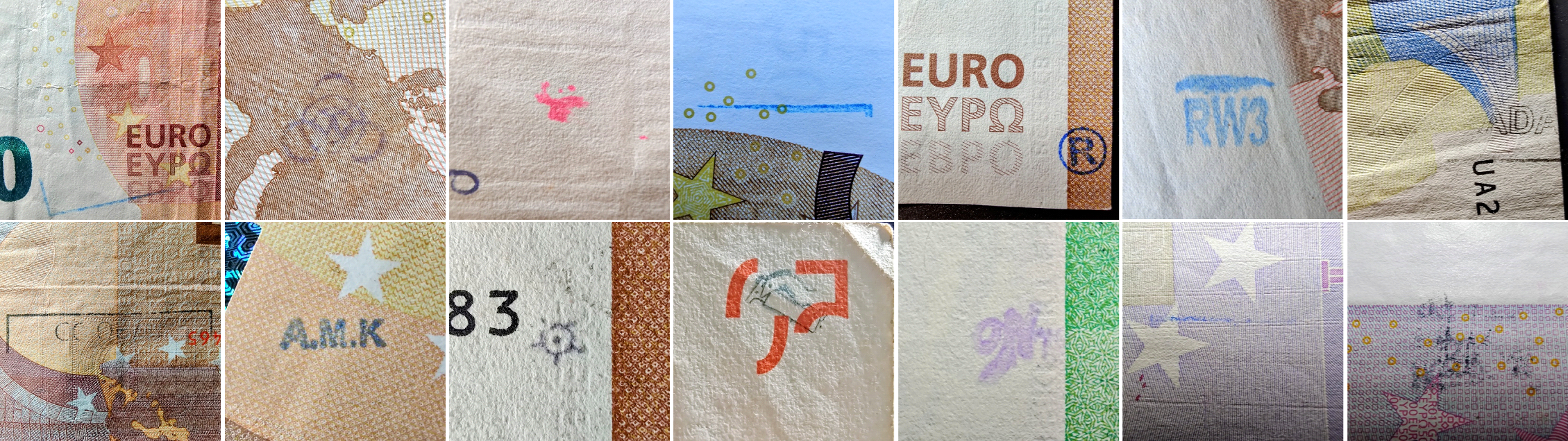 lmviterbo_collected-chopmarks_2024.png