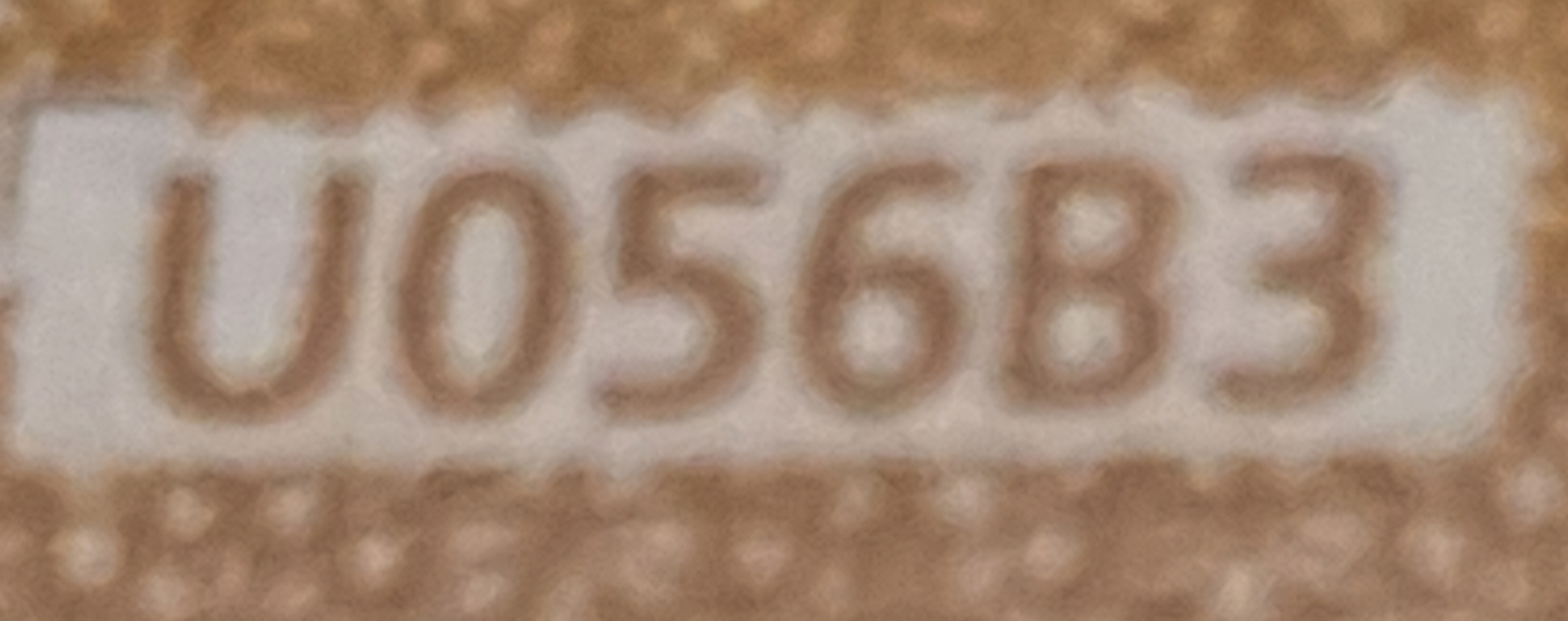 20260721_161110.jpg