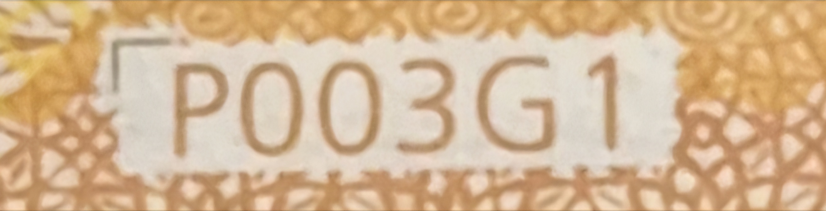 20260812_153435.jpg