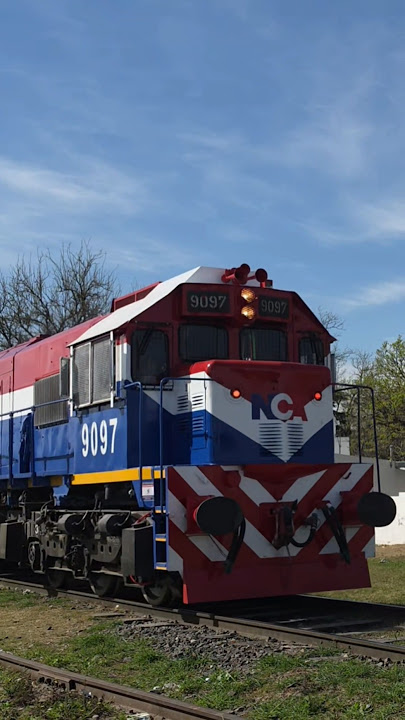 9097.jpg